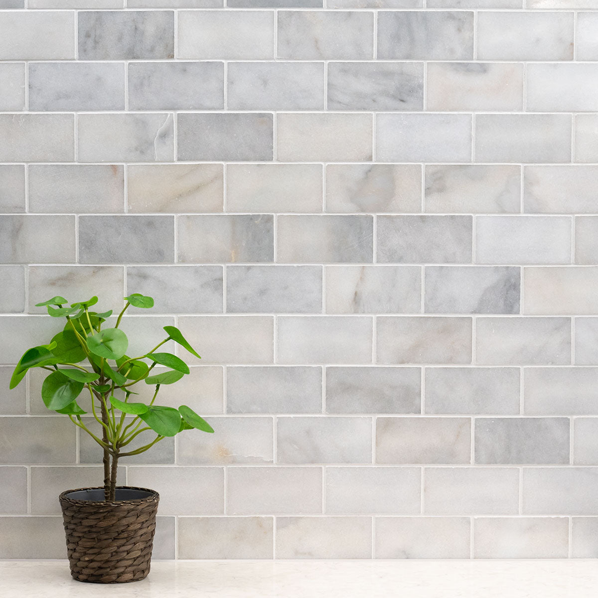 MSI Greecian White Polished Marble Subway Tile 3"x6"