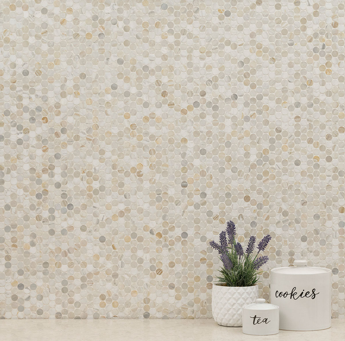 MSI Athena Gold Penny Round Honed Marble Mosaic Tile 12"x12"